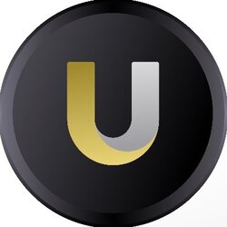 یونایتد استیبلز